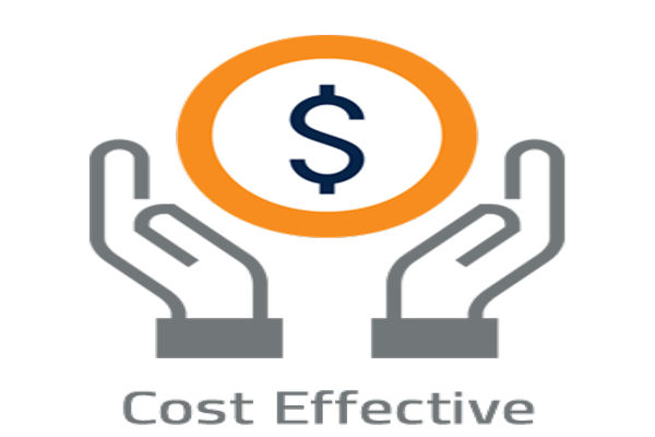 Cost Effective Icon